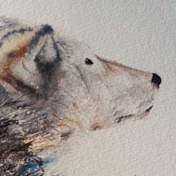 watercolour wolf