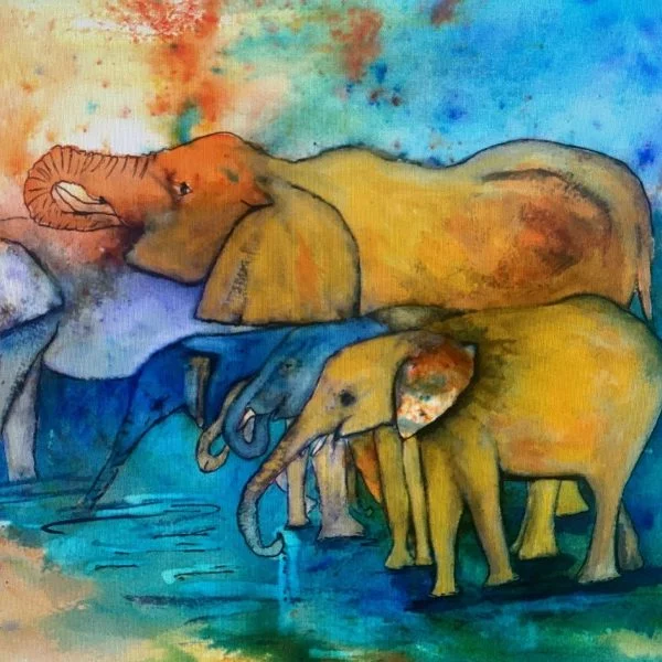 elephant watercolour ink