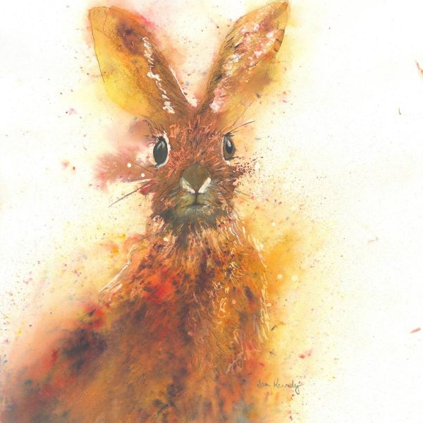 Fine art hare print